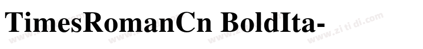 TimesRomanCn BoldIta字体转换